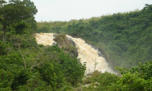 CHUTES BUDANA, BUNIA