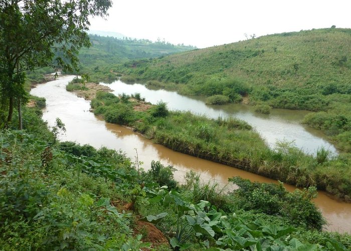 RIVIERE NIZI VUE DU BARRIERE MAGPO BUNIA