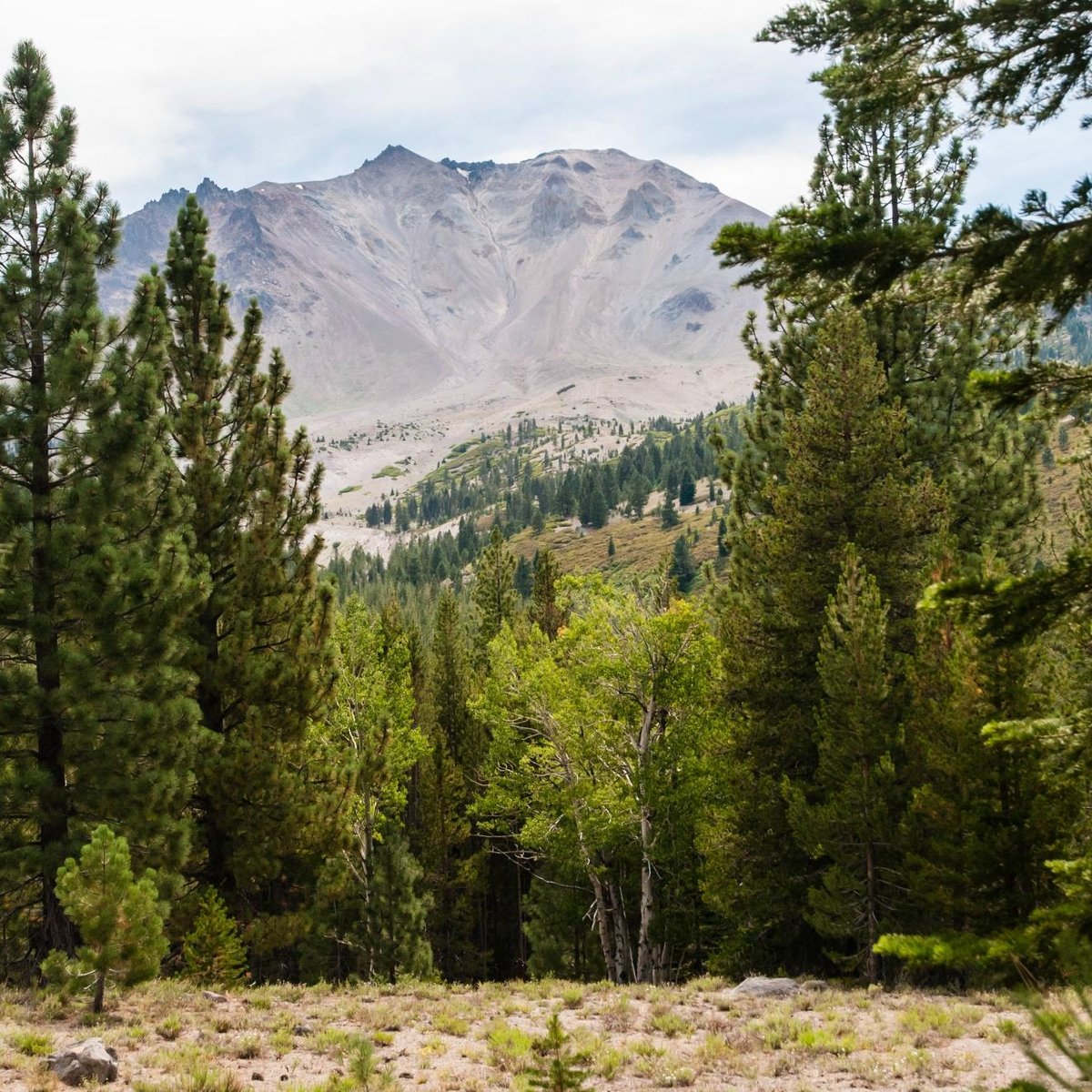 Devastated Area Trail in Lassen Volcanic National Park — Flying Dawn Marie