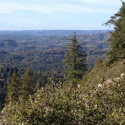 Calaveras County Kids Fishing Day