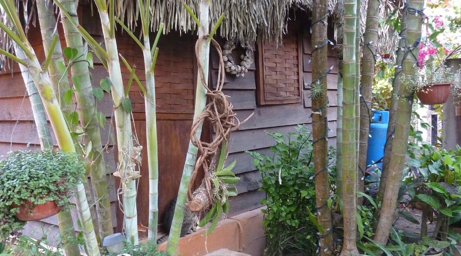 Front door of our palapa.