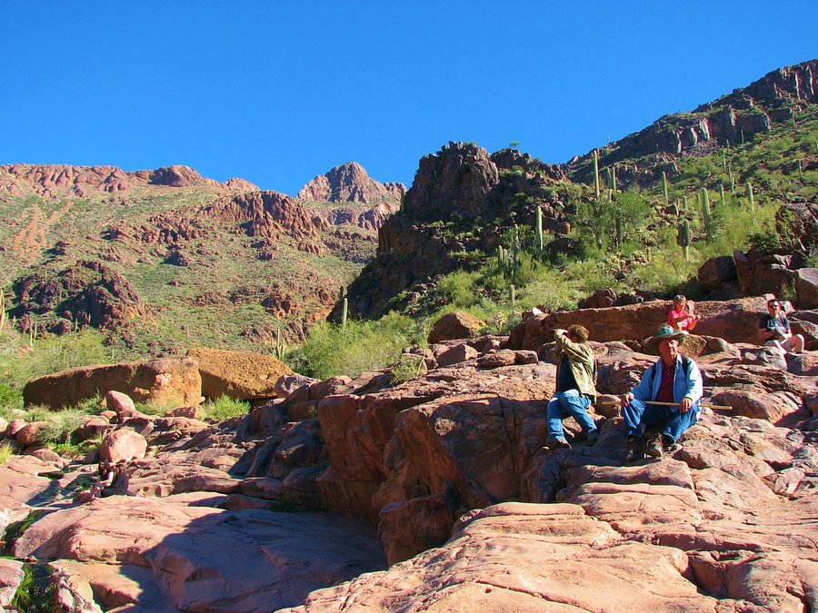 Valle Del Oro Rv Resort Updated 2020 Campground Reviews Mesa Az Tripadvisor