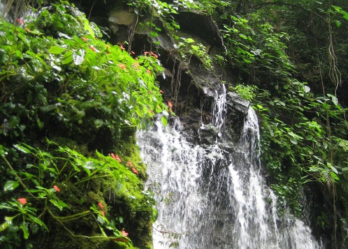 agua