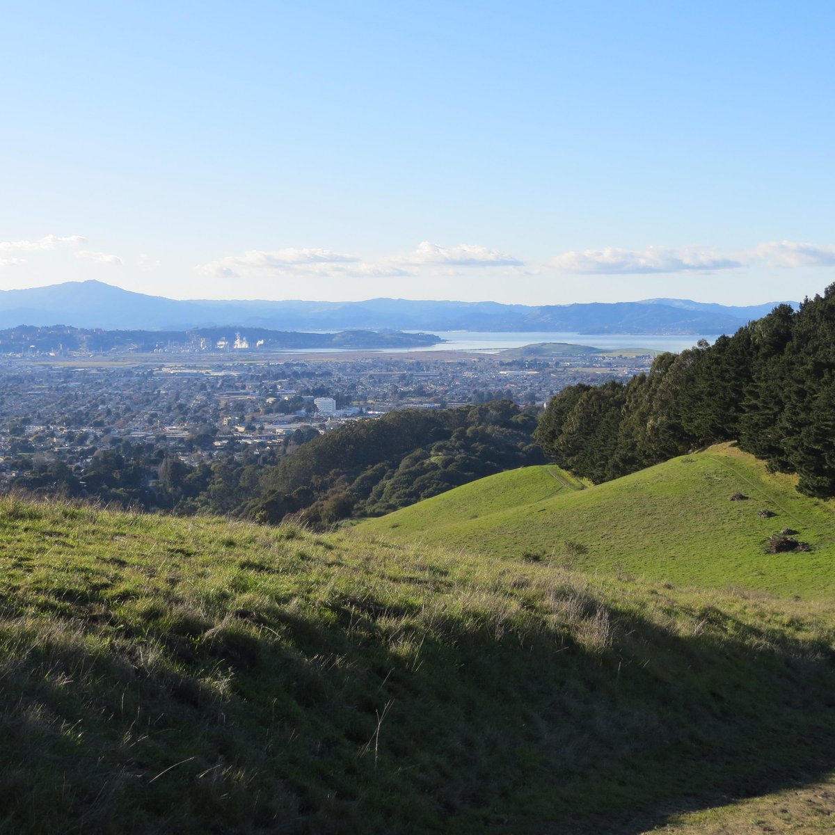 WILDCAT CANYON REGIONAL PARK (Richmond): Tutto quello che c'è da sapere