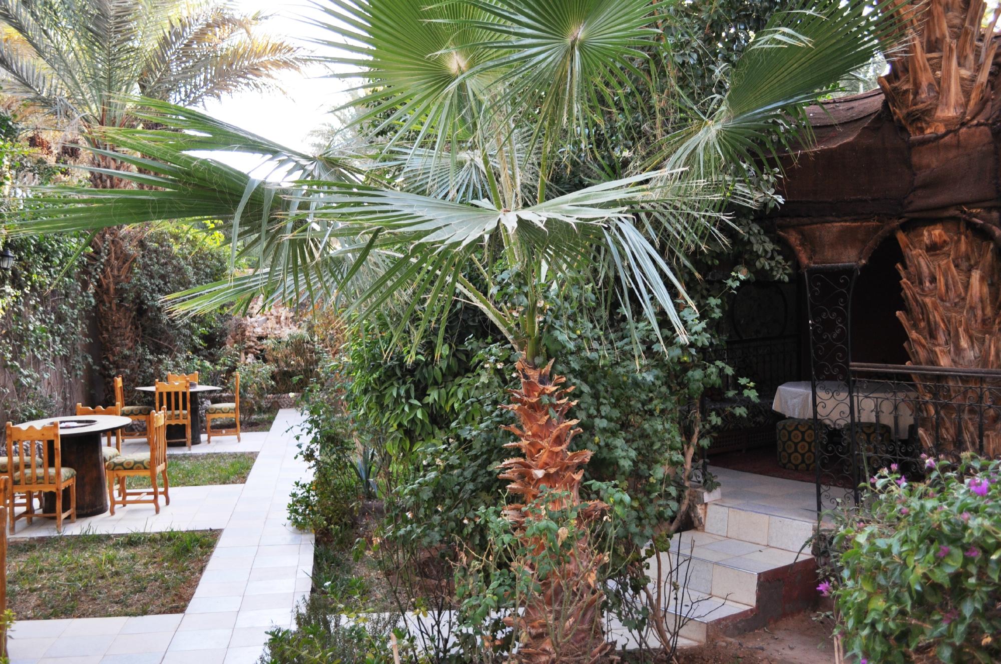 Hotel photo 98 of Kasbah Sirocco.