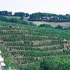 Things To Do in Northern Rhône Valley Cheese & Wine Tasting Half Day Tour from Lyon, Restaurants in Northern Rhône Valley Cheese & Wine Tasting Half Day Tour from Lyon