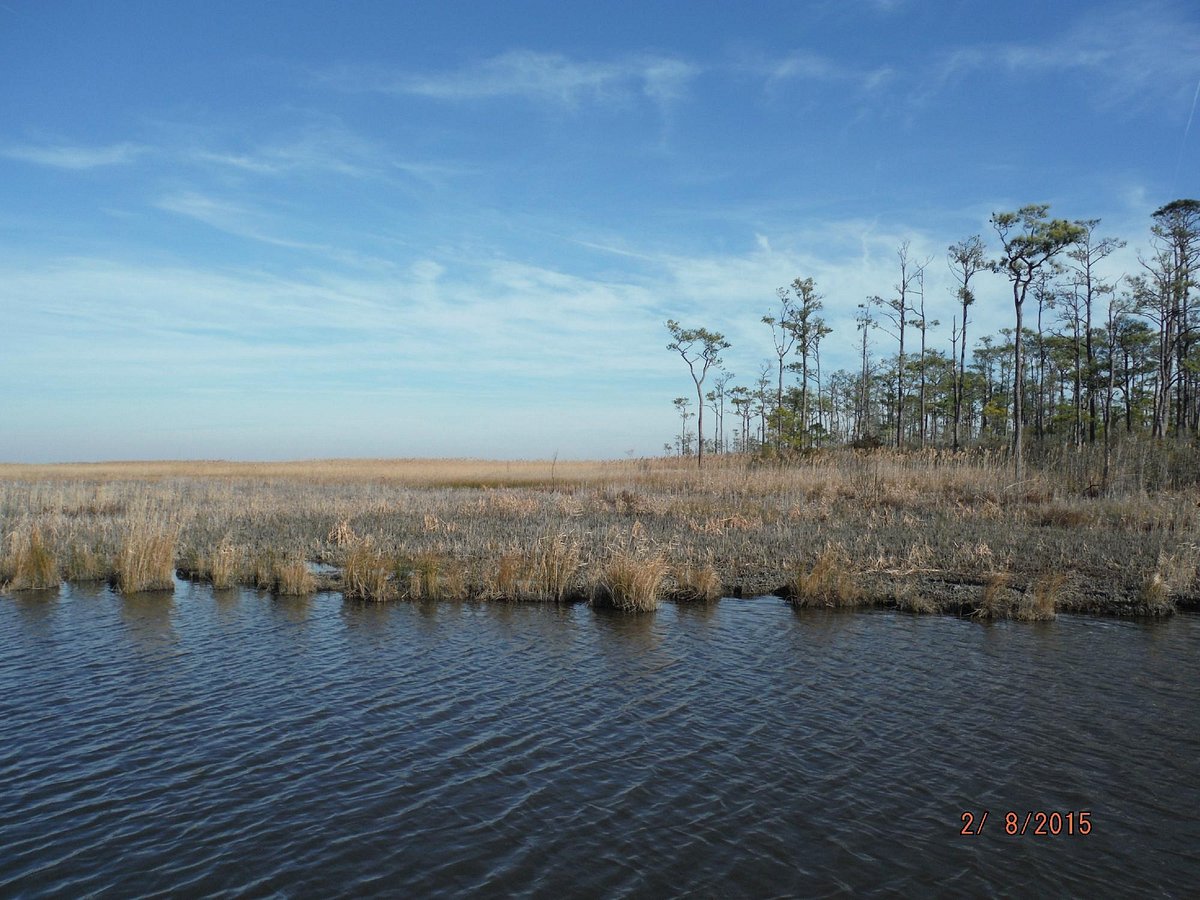 Mackay Island Wildlife Refuge - All You MUST Know Before You Go (2024)