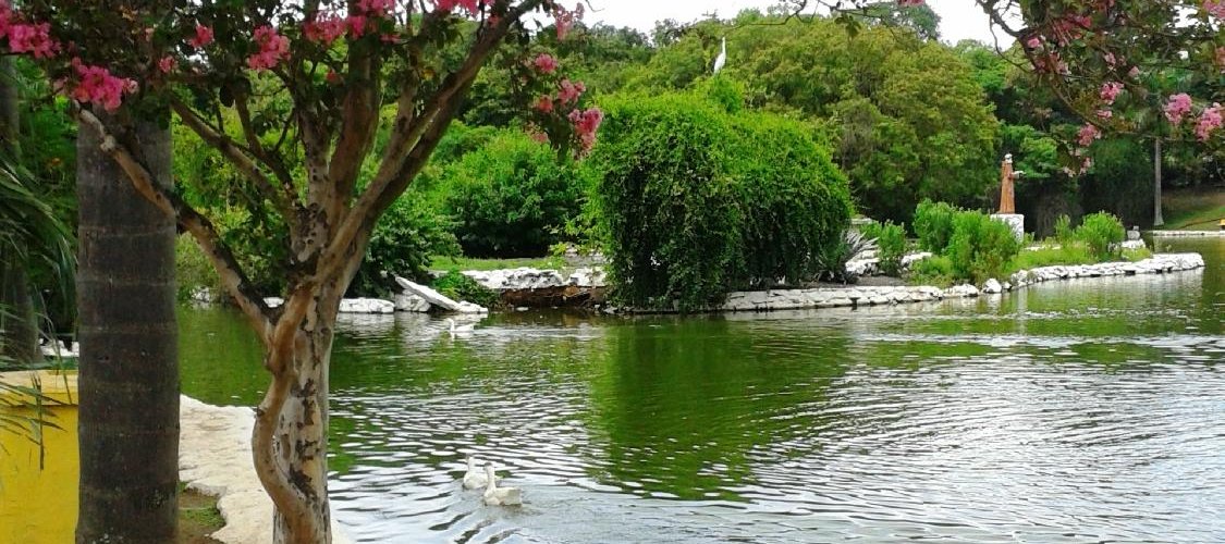Lago
