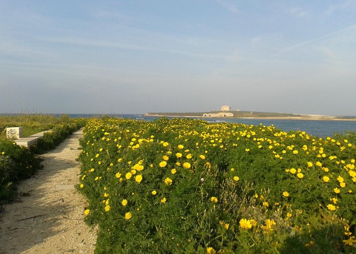 Primavera siciliana