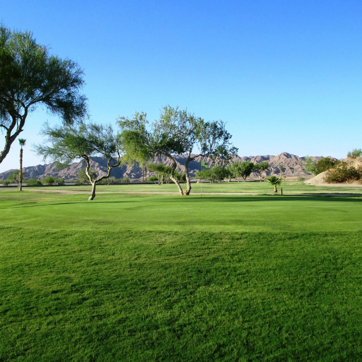 FORTUNA DEL REY GOLF COURSE & RV RESORT (Yuma) Ce qu'il faut savoir