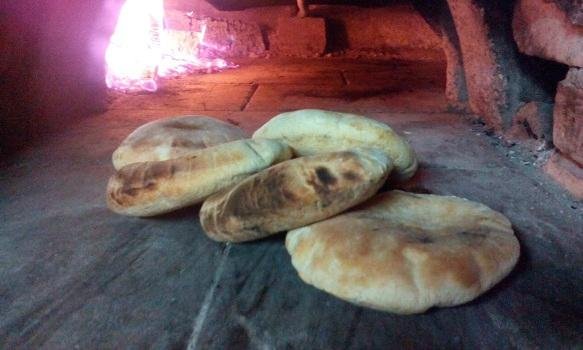 sport.s brick oven wood-fired pizza oven