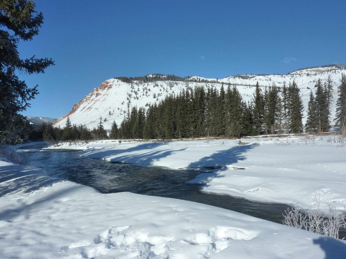 Old Faithful Snowmobile Tours - Day Tours - All You Need to Know BEFORE ...