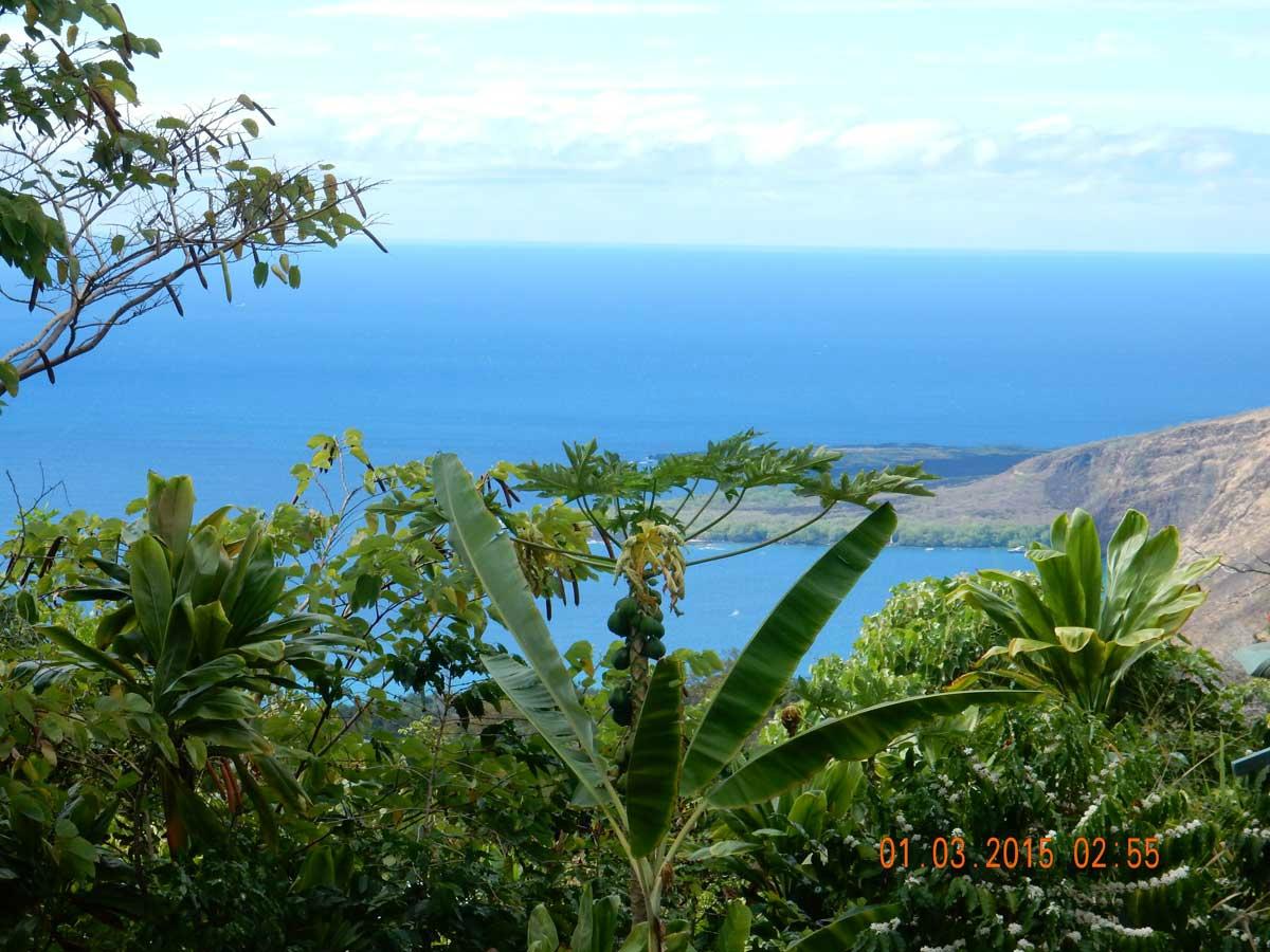 AH PARADISE BED & BREAKFAST - B&B Reviews (Hawaii/Captain Cook)