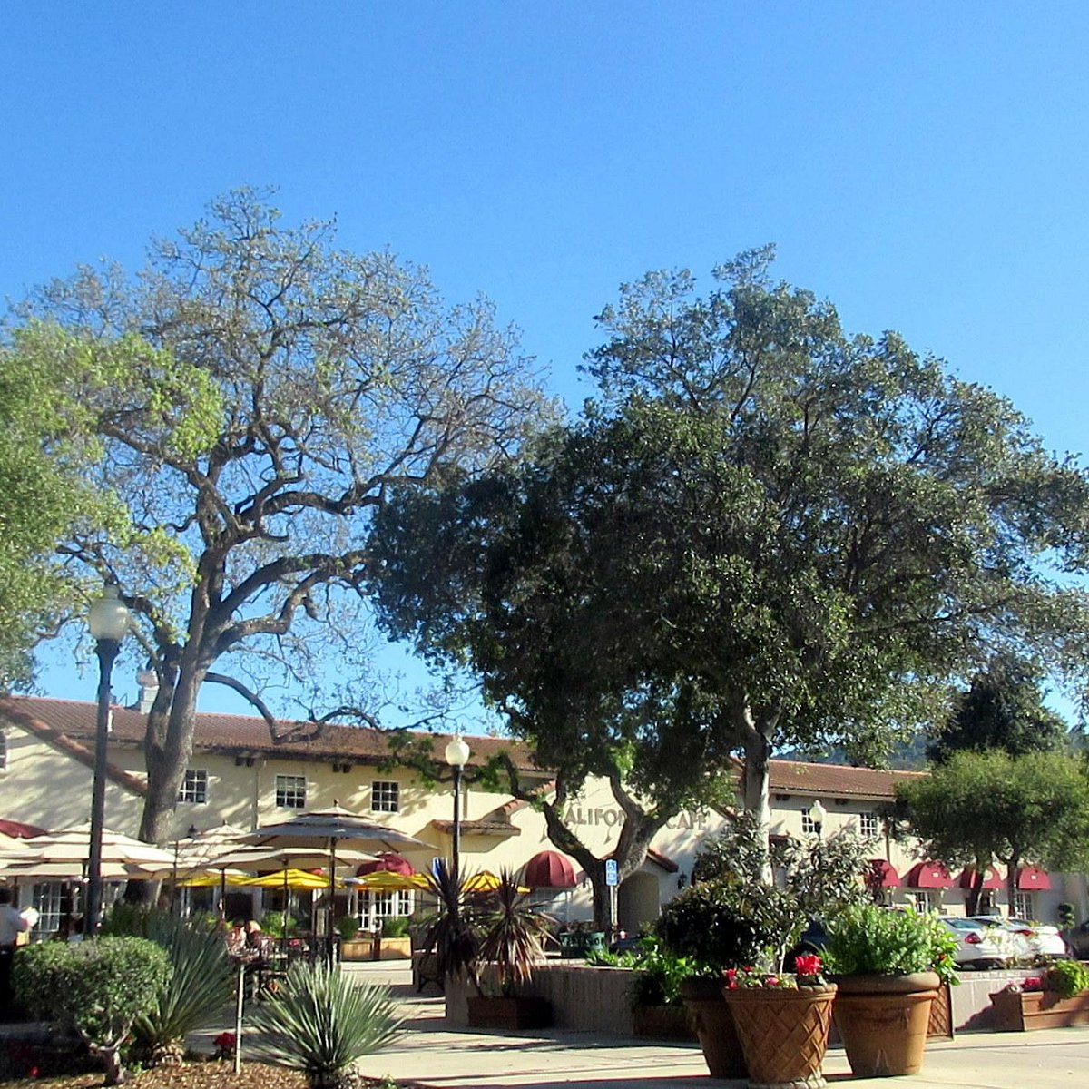 Los Gatos Shopping District - All You Need to Know BEFORE You Go