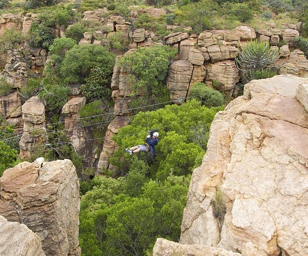 Zip Lining in Delmas