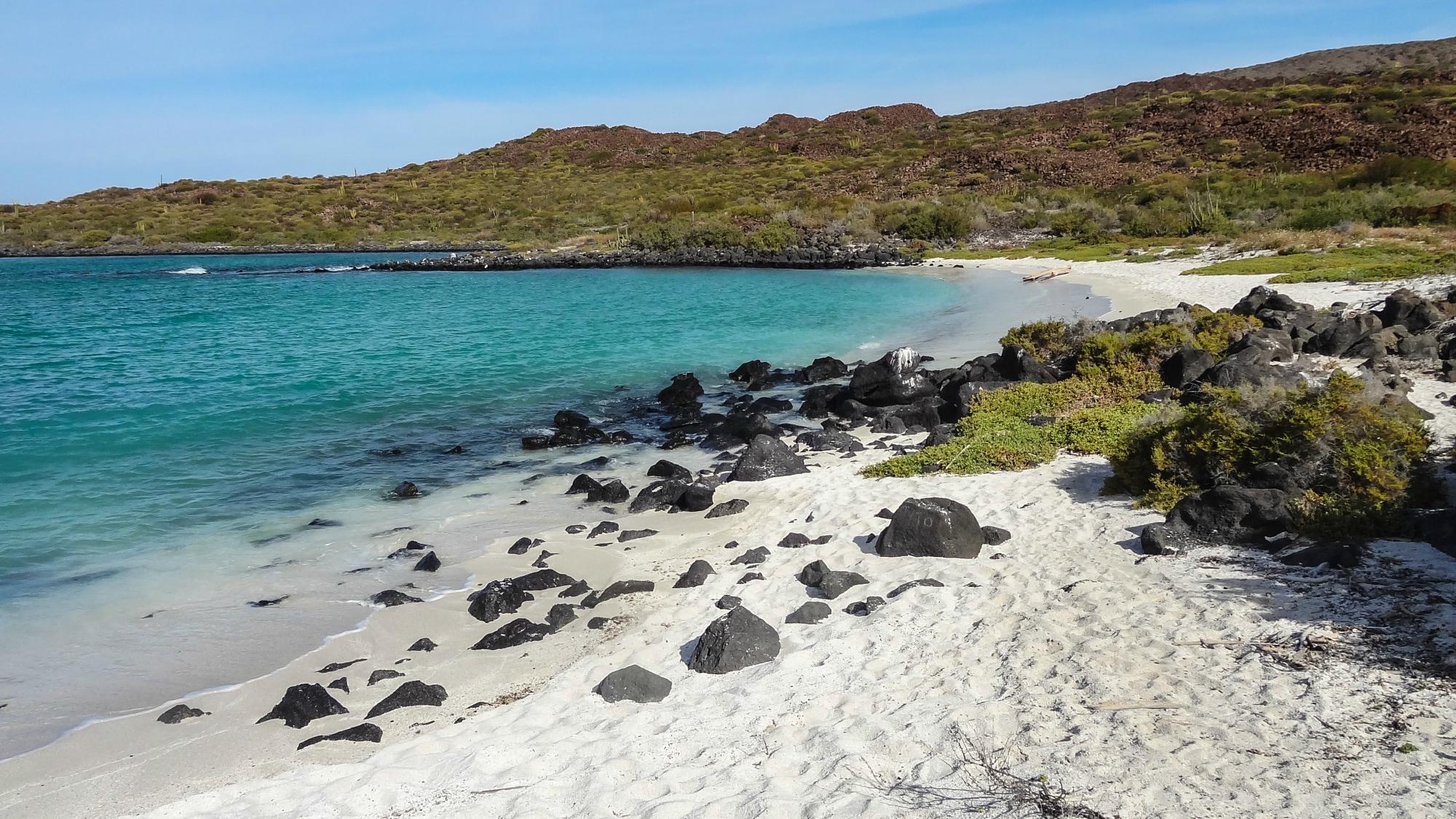 Isla Coronado (Baja California) - Alles Wat U Moet Weten VOORDAT Je ...