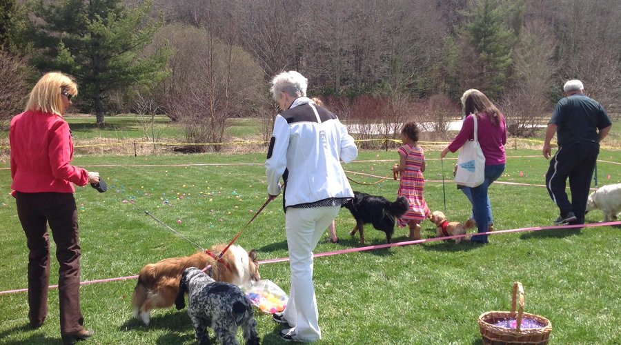 Egg Hunt 2014 in the Banner Elk Park
