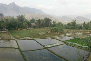 Phòng & Phòng Suite