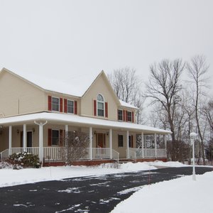 The Roselea