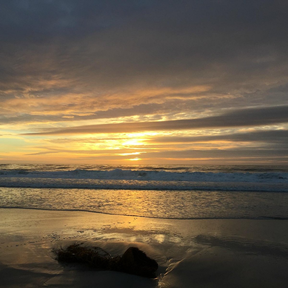 Del mar beach