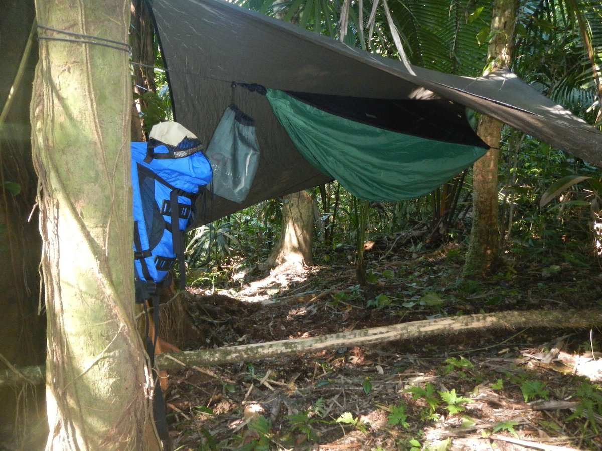 YAXCHE JUNGLE CAMP - Lodge Reviews (Belize/Belmopan)