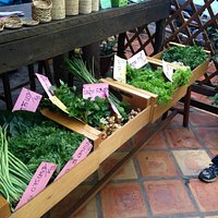 Fresh vegetables
