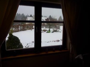 Room & Suite