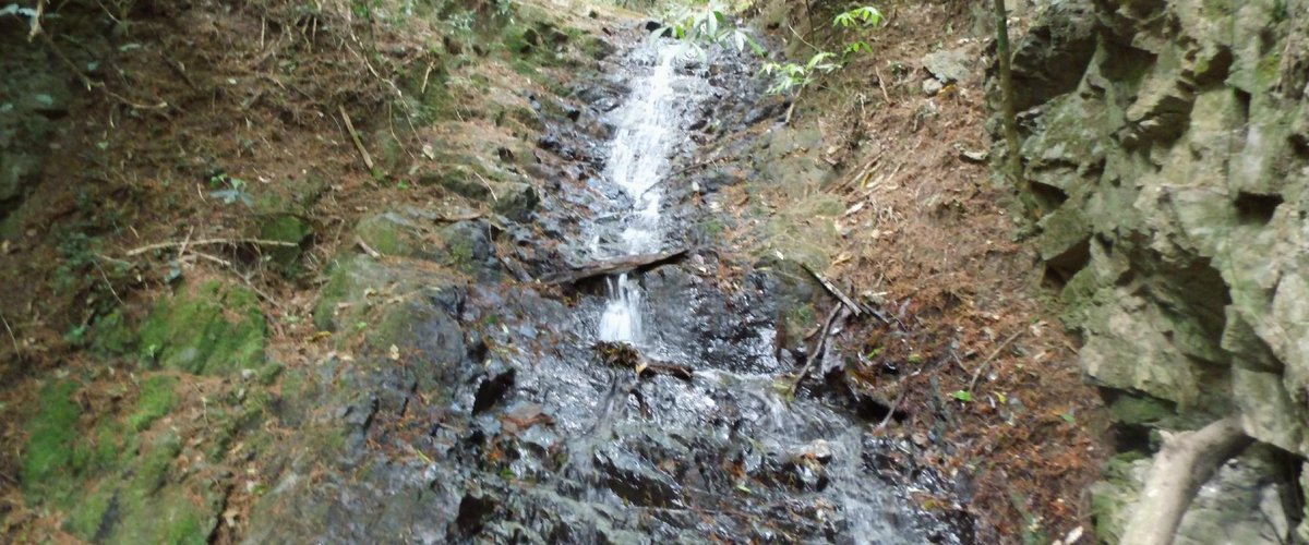 Riachuelo