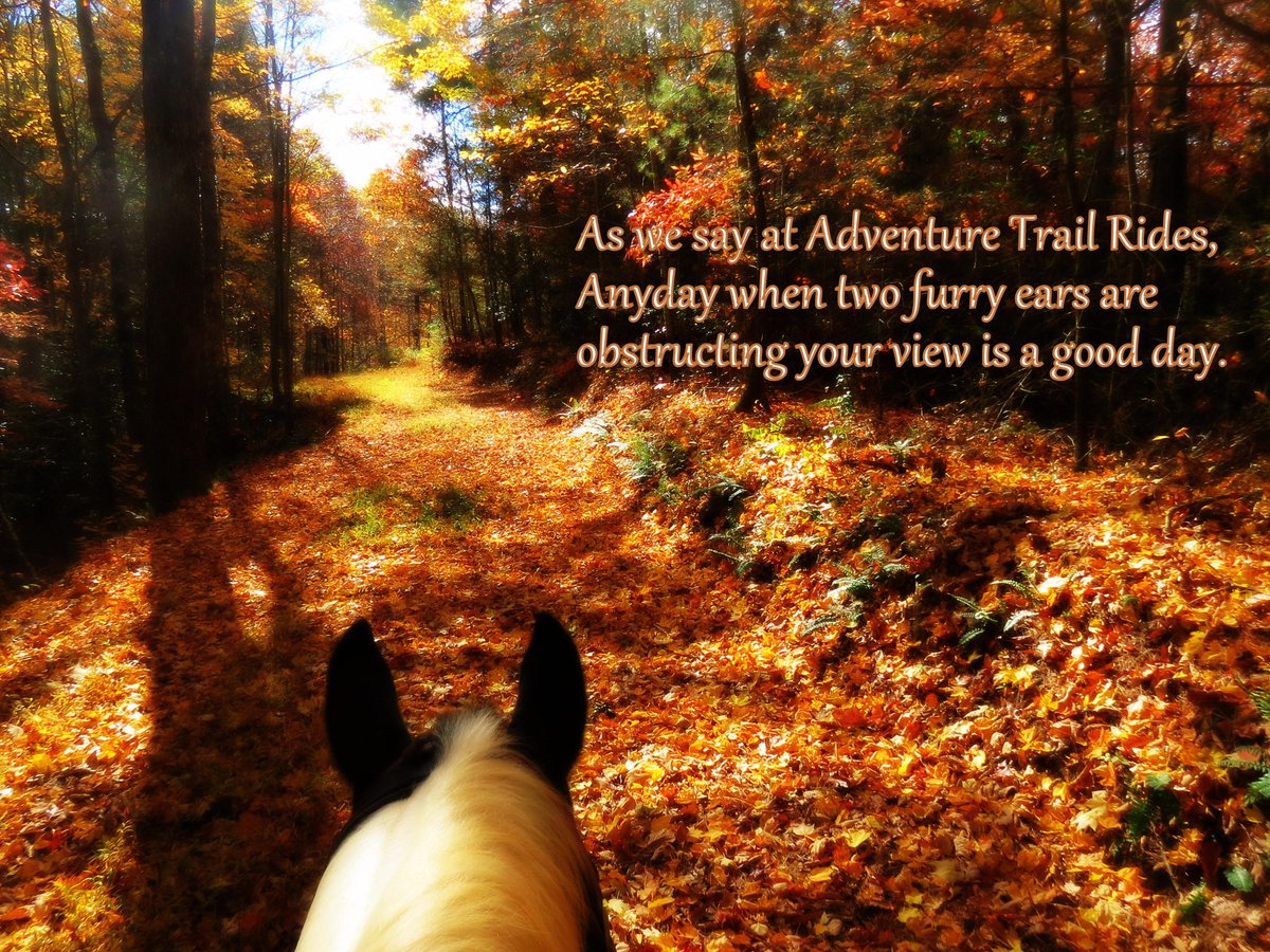 Adventure Trail Rides - All You Need to Know BEFORE You Go (2024)