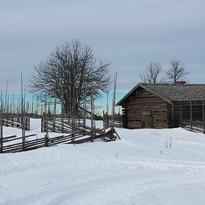dejt aktiviteter i ljusdal träffa tjejer i lövånger