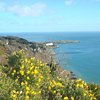 Things To Do in Killiney Hill Viewpoint, Restaurants in Killiney Hill Viewpoint