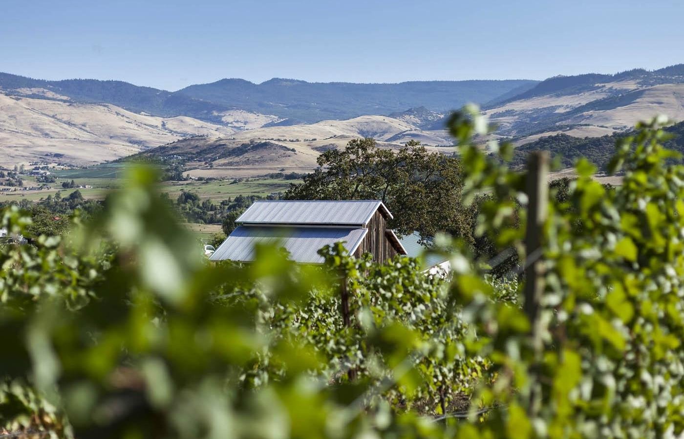 Weisinger Family Winery by null