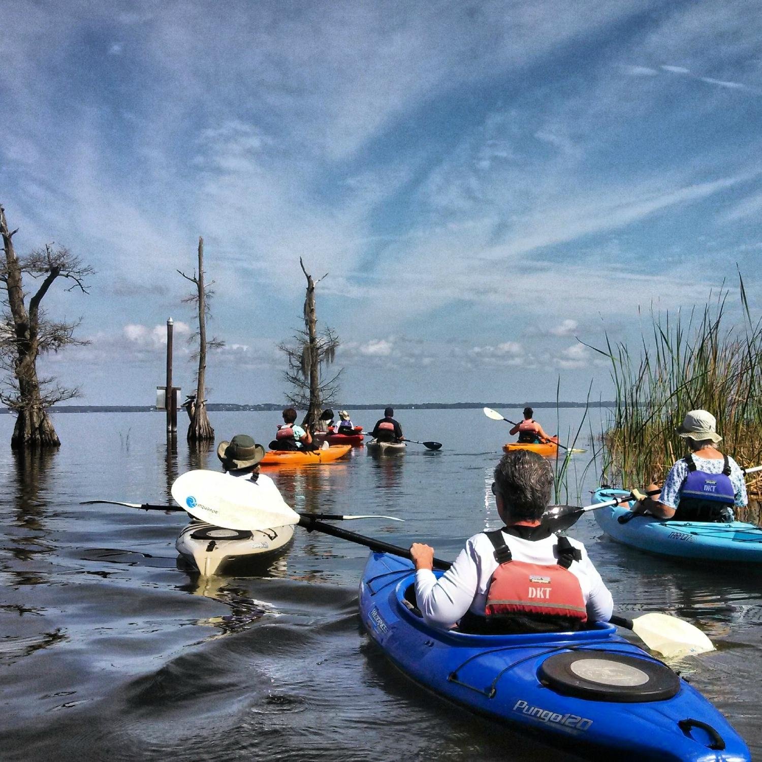 Discovery Kayak Tours - All You Need to Know BEFORE You Go (2024)