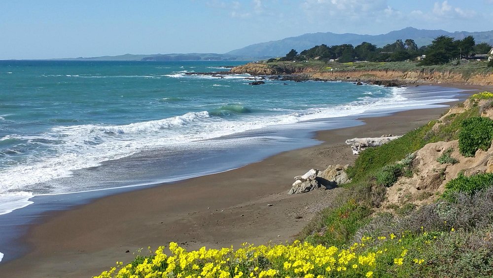 Cambria 2021 Best of Cambria, CA Tourism Tripadvisor