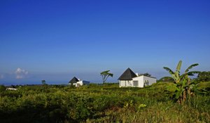 Royal Palm Galapagos, Curio Collection Hotel by Hilton in Santa Cruz, image may contain: Field, Pasture, Nature, Outdoors