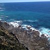 Things To Do in Great Ocean Road Adventure - Private Tour - Reverse, Restaurants in Great Ocean Road Adventure - Private Tour - Reverse