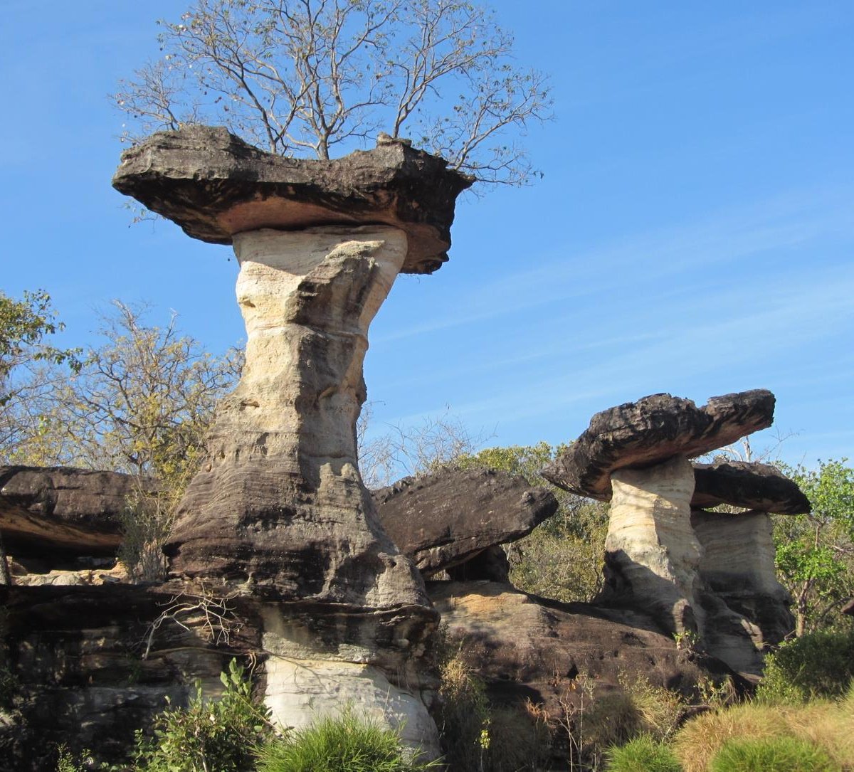 Pha Taem National Park Ban Huai Phai 旅游景点点评 Tripadvisor