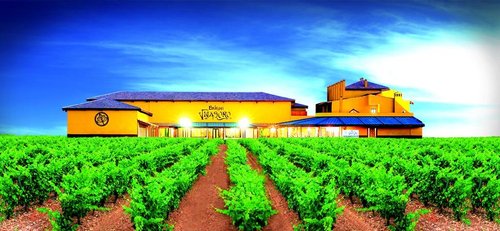 Hotel Château Viñasoro