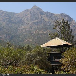 The Machaan (Watch Tower)
