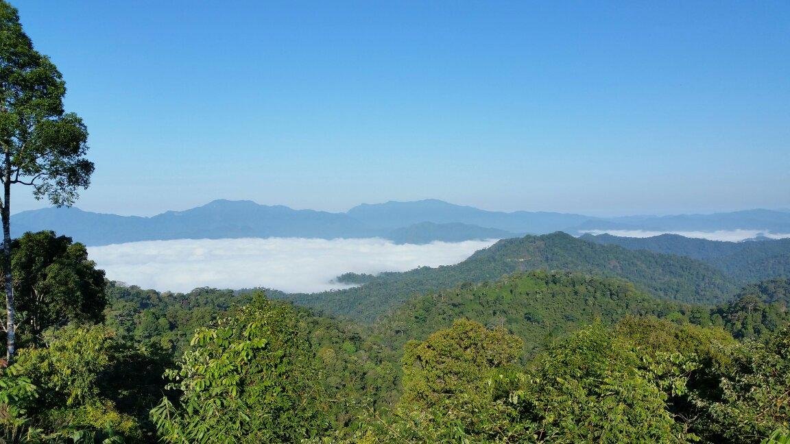 Kaeng Krachan Forest Complex