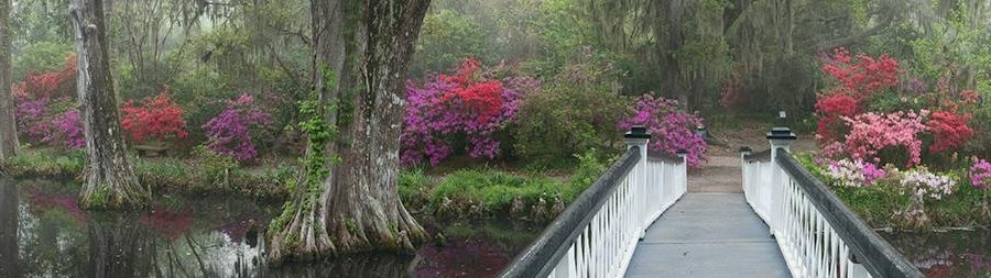 Long White Bridge