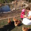 RealWholeFoodsMom