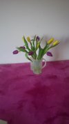Irmina61