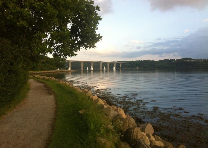 Vejlefjordbroen set fra stien omkring Skyttehushaven