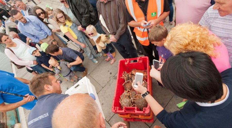 Seafood Festival - Quay Road Sutton Harbour 2014