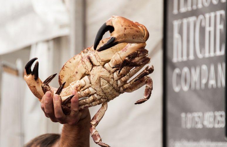 Seafood demonstrations at the Plymouth Seafood Festival 2014 and Sutton Habrour