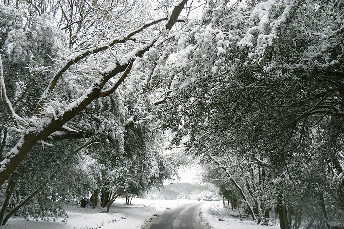 Winter wonderland in Hampshire!