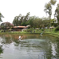 Lagoa de pesca