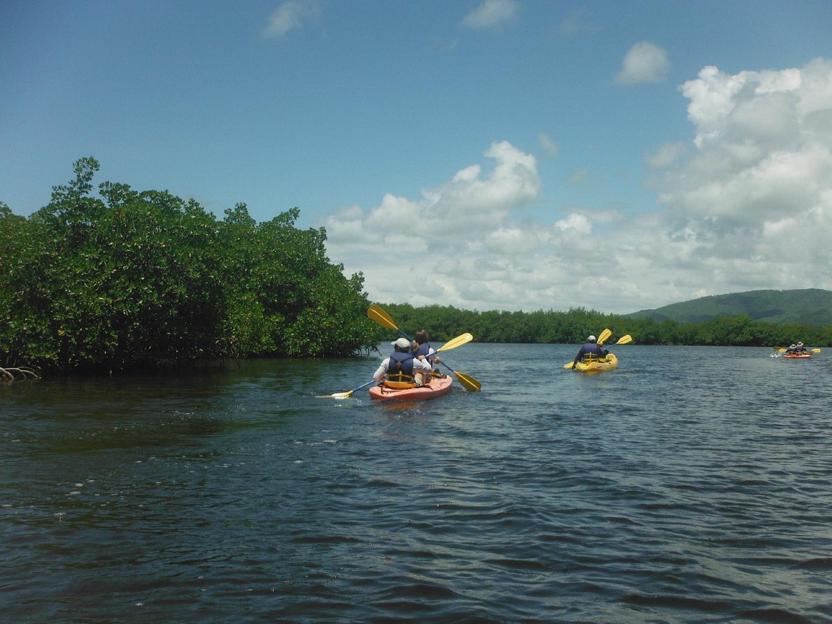 Island Kayaking Adventure (Ceiba) - All You Need to Know BEFORE You Go