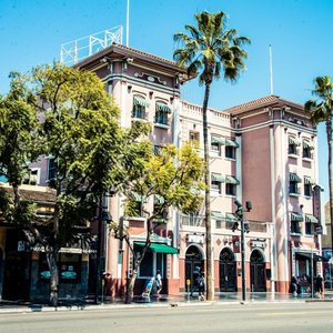The Building